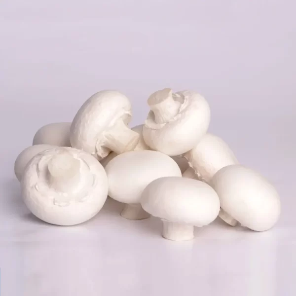 قارچ دکمه ای فله